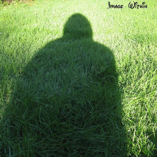 Picture of the album Into Likeness